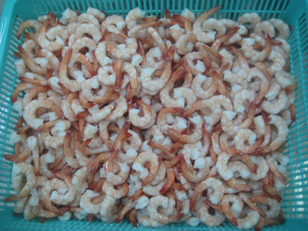 cpdto-vannamei-shrimp