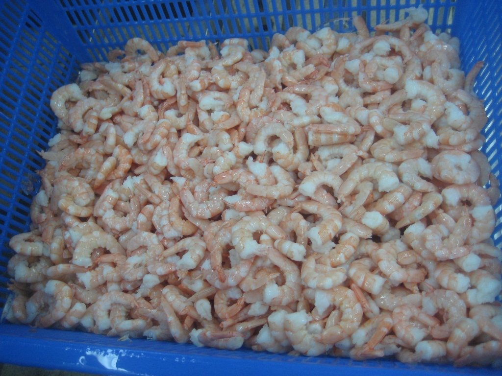 cpd-vannamei-shrimp