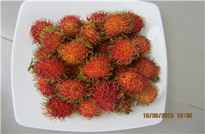 Rambutan