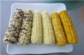 Corn