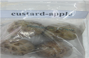 Custard apple